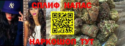 молекула духа Славгород